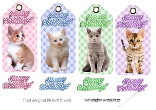 Four pretty birthday gingham tags with cats