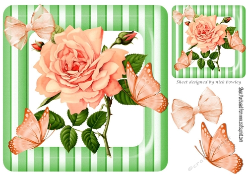 pretty big peach rose with buds in stripe 8x8 frame