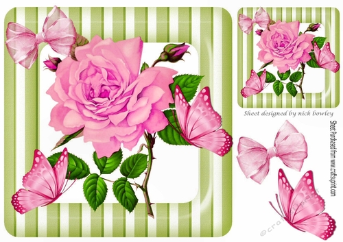 pretty big pink rose with buds in stripe 8x8 frame
