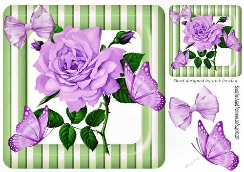 pretty big lilac rose with buds in stripe 8x8 frame