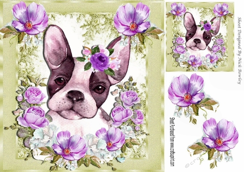Lovely Painted French bulldog puppy with lilac flowers 8x8