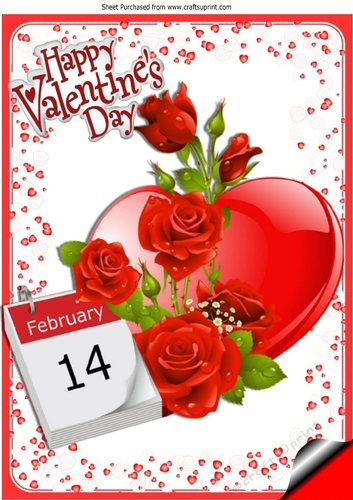 Pretty red rose for that special day the 14th A4