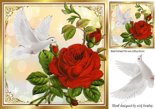 Beautiful big red rose, with white dove 8x8