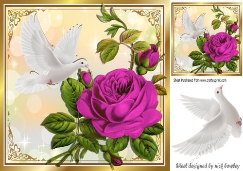 Beautiful big cerise rose, with white dove 8x8