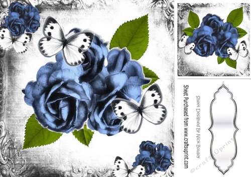 pretty blue rose with white butterflies in black/white mono frame 8x8