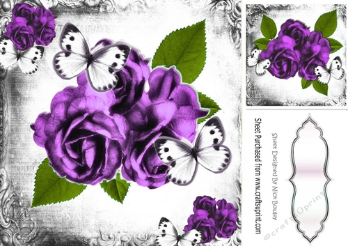 pretty lilac rose with white butterflies in black/white mono frame 8x8