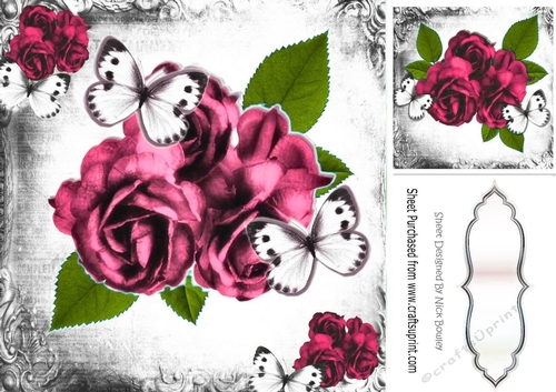pretty rose pink with white butterflies in black/white mono frame 8x8