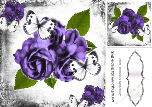 pretty purple rose with white butterflies in black/white mono frame 8x8