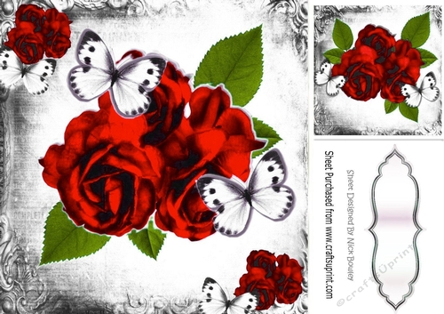pretty red rose with white butterflies in black/white mono frame 8x8