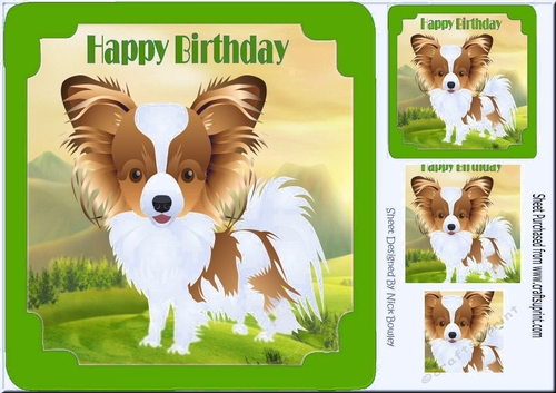 Cute Papillon puppy in green frame, with pyramids 8x8