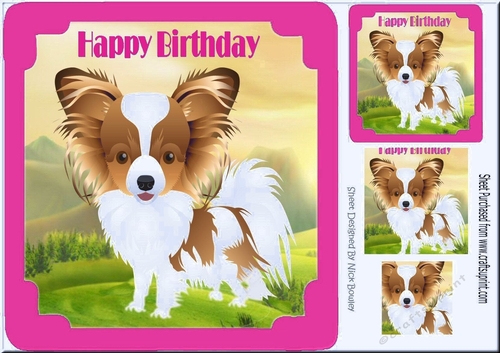 Cute Papillon puppy in pink frame, with pyramids 8x8