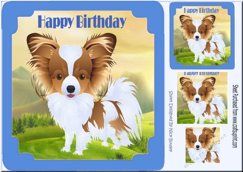Cute Papillon puppy in blue frame, with pyramids 8x8