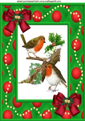 Cute Robins in a Frame A4 Topper