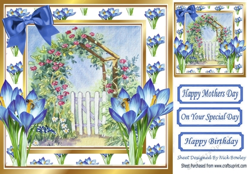 Pretty painted garden with gate and blue iris 8x8