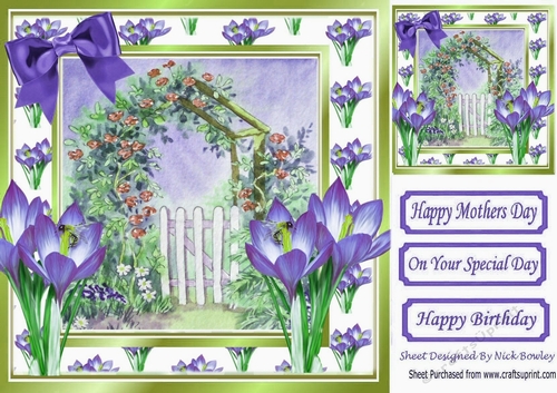 Pretty painted garden with gate and purple iris 8x8