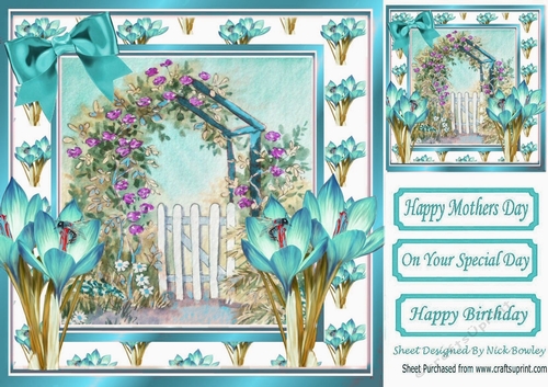 Pretty painted garden with gate and turq iris 8x8
