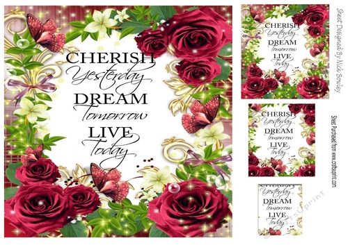 Pretty red rose frame to cherish card front
