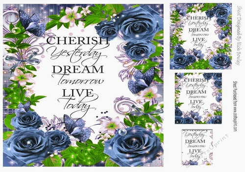 Pretty blue rose frame to cherish card front