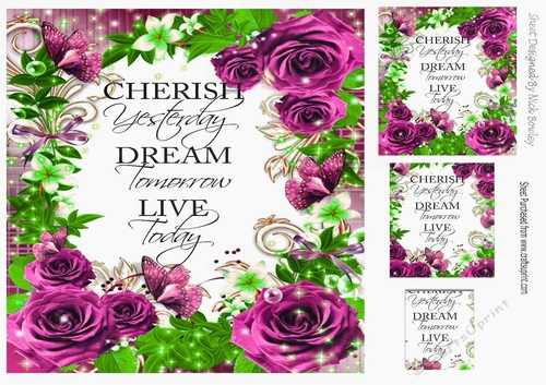 Pretty cerise rose frame to cherish card front