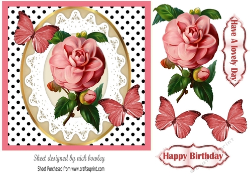Pretty blush rose with buds on lace with polkadots 7x7