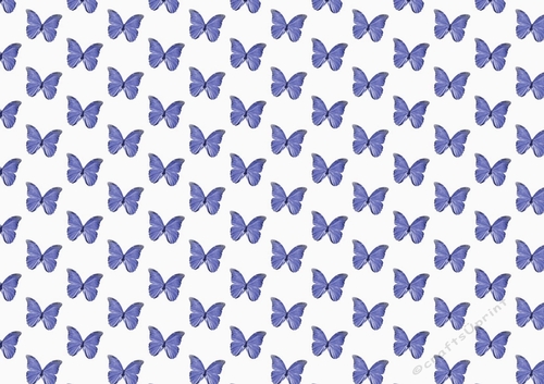 Pretty blue rose coloured butterflies  backing paper