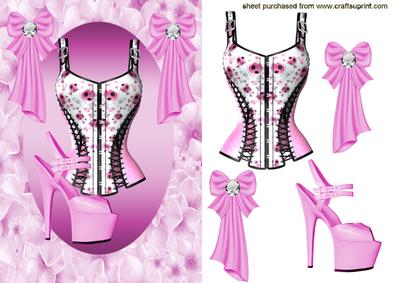 Lovely Pink Ladies Accessories
