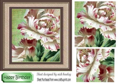 Pretty garden flowers in frame with pyramids 7x7