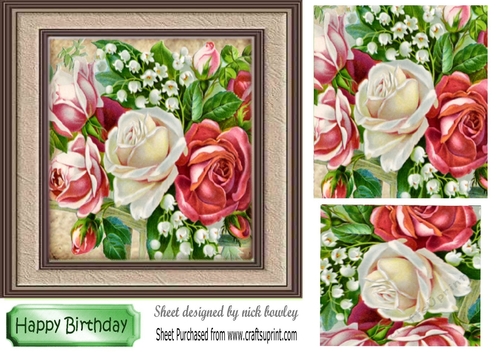 Pretty garden roses in frame with pyramids 7x7