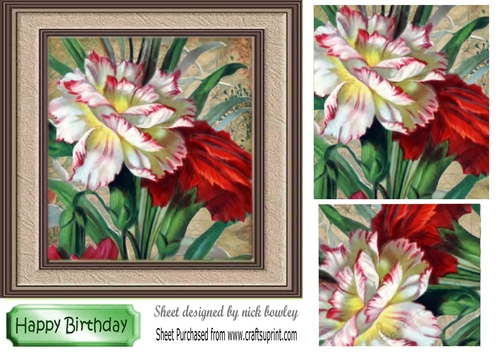 Pretty garden red/white flowers in frame with pyramids 7x7