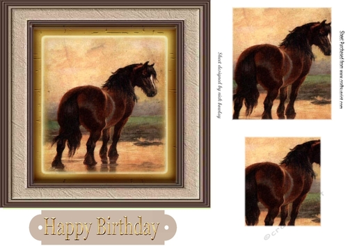  lovely brown  horse in frame 7x7 with pyramids