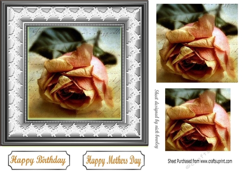 Pretty peach rose in pyramids with lace 7x7 frame