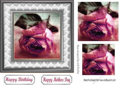 Pretty pink rose in pyramids with lace 7x7 frame