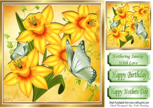 Pretty yellow daffodils with green butterflies 8x8