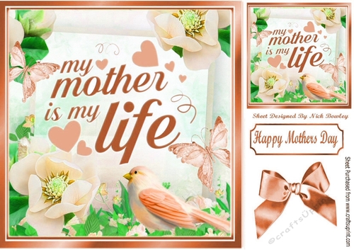 MY MOTHER IS MY LIFE! Mum with peach flowers and butterflies 8x8