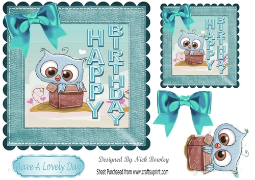  cute little owl in a card board box with turq bows 7x7