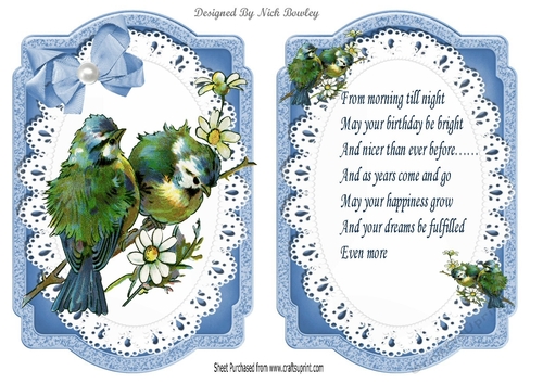 Pretty birds on a branch with blue bow on lace, card front and insert