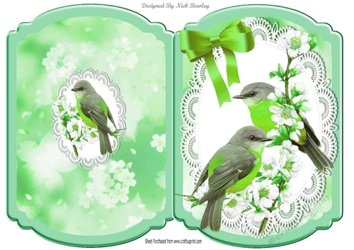 pretty green birds on a branch with lace bracket card