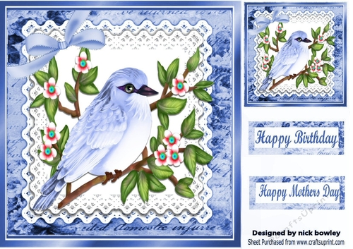Pretty blue bird on a branch with lace script 8x8 frame