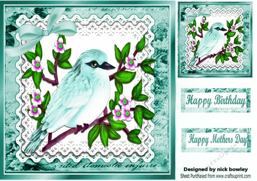 Pretty Turq bird on a branch with lace script 8x8 frame