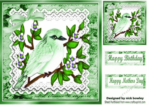 Pretty Green bird on a branch with lace script 8x8 frame