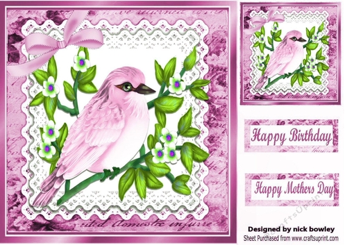 Pretty pink bird on a branch with lace script 8x8 frame