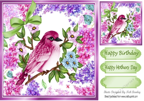 Pretty pink bird in floral pink/lilac frame 8x8
