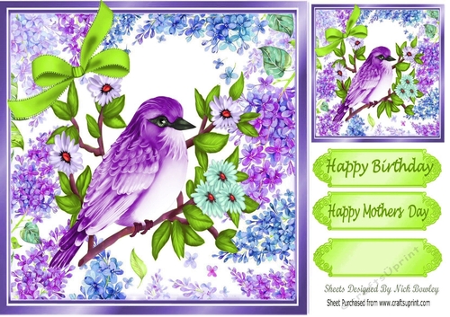 Pretty purple bird in floral frame 8x8