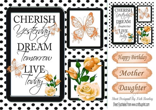 pretty peach roses and black polka dot photo frame 8x8 card front
