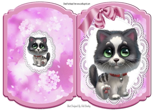 Cute kitty on lace with pink bow bracket card