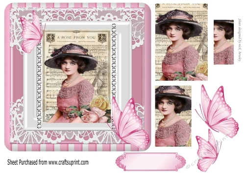 Pretty vintage lady in pink lace frame with pyramids & butterflies  7x7