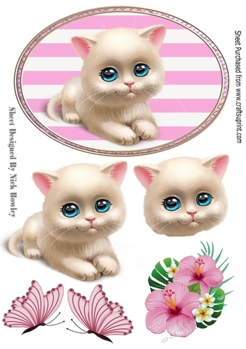 Cute white kitten with flowers and butterflies in pink striped frame