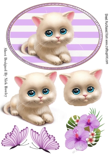 Cute white kitten with flowers and butterflies in purple striped frame