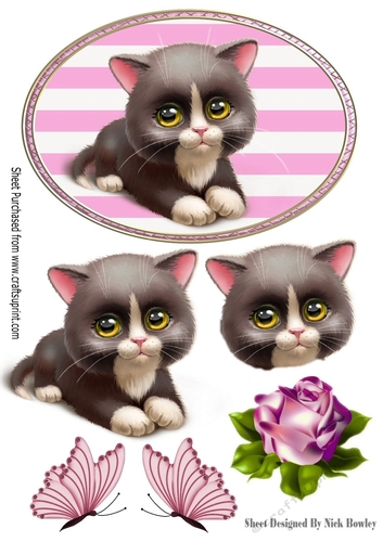 Cute black kitten with rose and butterflies in pink striped frame