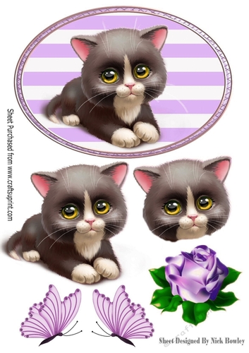 Cute black kitten with rose and butterflies in purple striped frame
